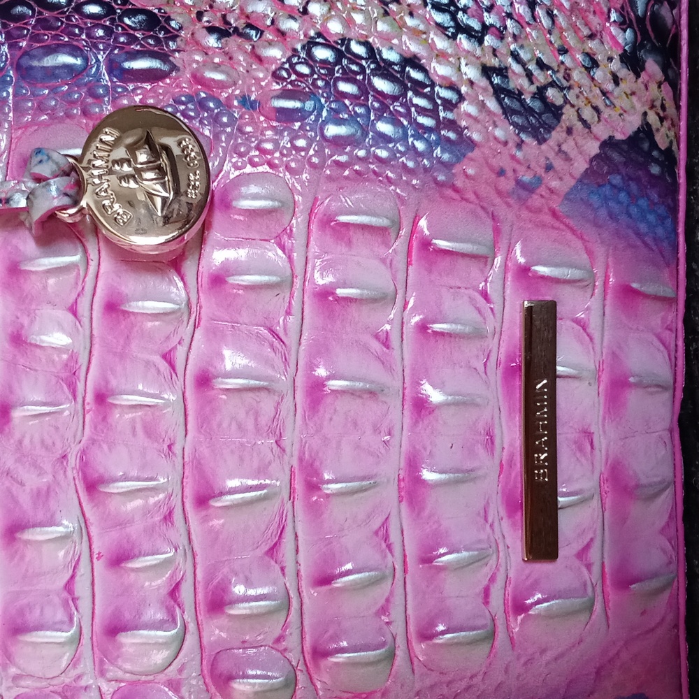 💞Brahmin💞 - Small Elaine Pink Cobra Ombre Satchel - Picture 4 of 11